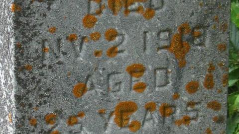 Christie Memorial Cemetery - Seguin, Ontario