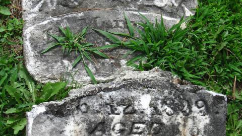 Christie Memorial Cemetery - IMG_0156.JPG