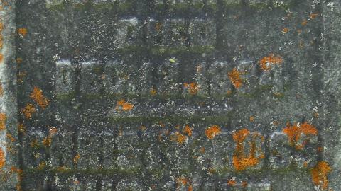 Christie Memorial Cemetery - IMG_0160a.JPG