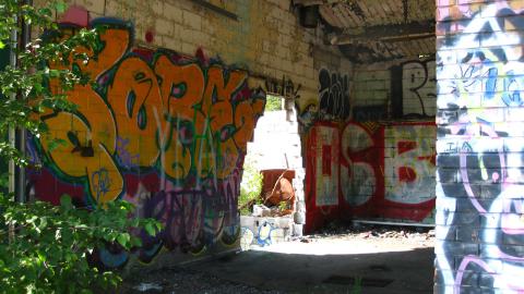 July 18, 2024 - IMG_0414.JPG