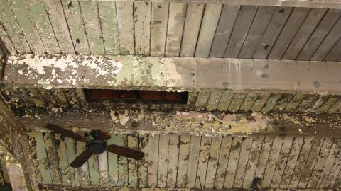 July 18, 2024 - IMG_0415.JPG