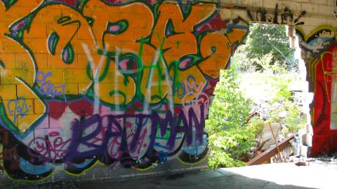 July 18, 2024 - IMG_0417.JPG