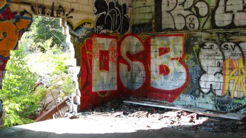 July 18, 2024 - IMG_0418.JPG