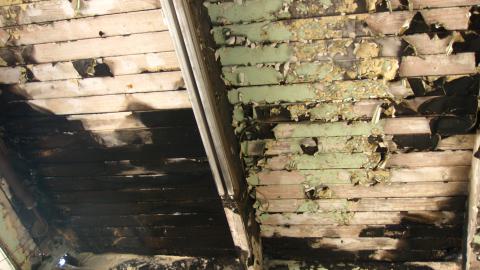 July 18, 2024 - IMG_0420.JPG