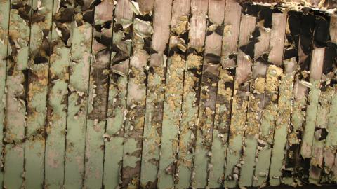 July 18, 2024 - IMG_0421.JPG