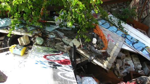 July 18, 2024 - IMG_0422.JPG