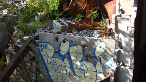 July 18, 2024 - IMG_0423.JPG