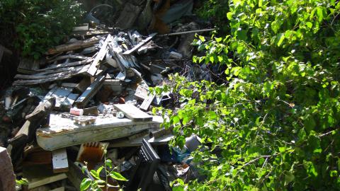 July 18, 2024 - IMG_0424.JPG