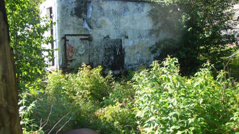 July 18, 2024 - IMG_0427.JPG