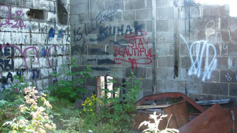 July 18, 2024 - IMG_0428.JPG