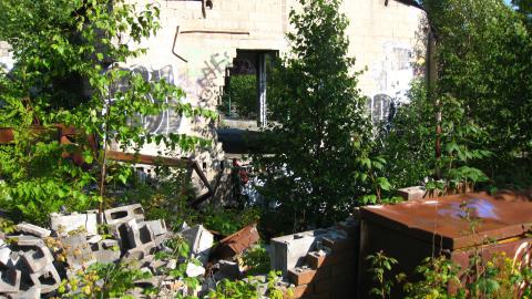 July 18, 2024 - IMG_0431.JPG