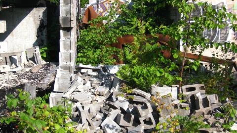 July 18, 2024 - IMG_0432.JPG