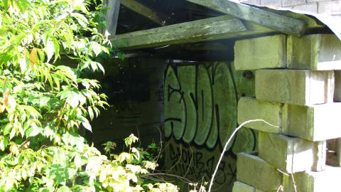 July 18, 2024 - IMG_0436.JPG