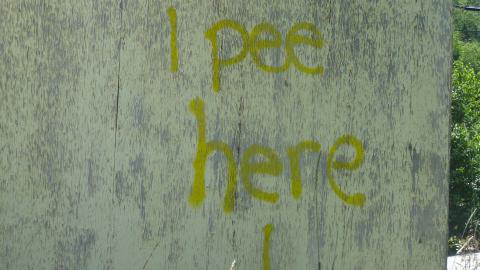 Magpie Truck Stop photo 5