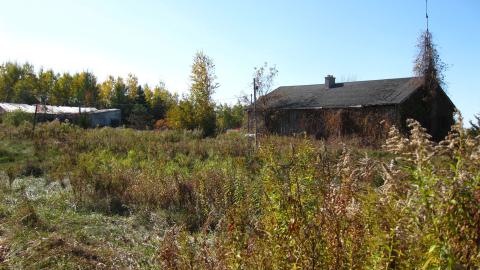 Oct. 19, 2024 - IMG_1992.JPG