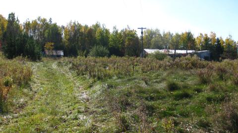 Photo from Oct. 19, 2024