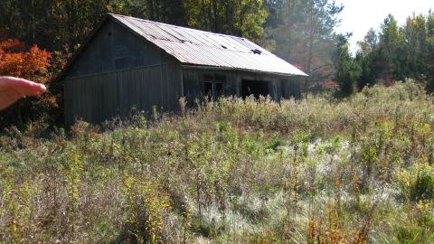 Oct. 19, 2024 - IMG_1994.JPG