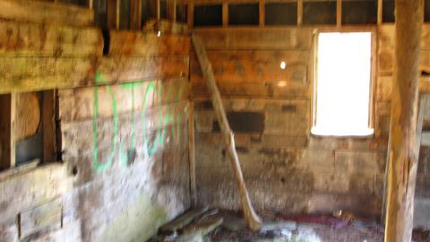 Oct. 19, 2024 - IMG_1999.JPG