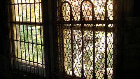 Oct. 19, 2024 - IMG_2000.JPG