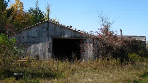 Oct. 19, 2024 - IMG_2003.JPG