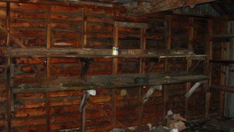 Oct. 19, 2024 - IMG_2005.JPG