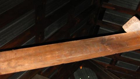 Oct. 19, 2024 - IMG_2006.JPG