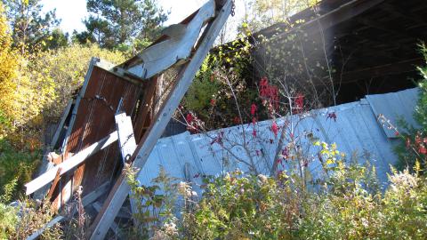 Oct. 19, 2024 - IMG_2009.JPG