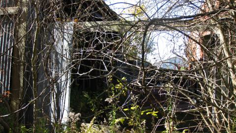 Oct. 19, 2024 - IMG_2010.JPG