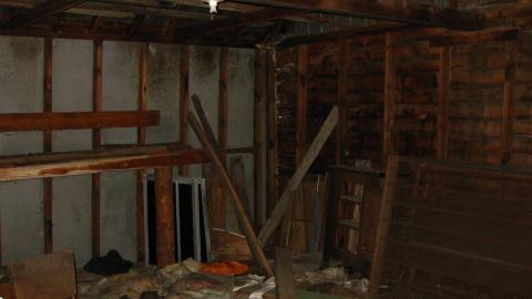 Oct. 19, 2024 - IMG_2015.JPG