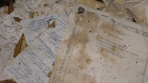 Oct. 19, 2024 - IMG_2025.JPG