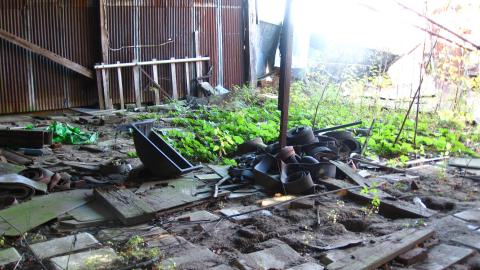 Oct. 19, 2024 - IMG_2027.JPG