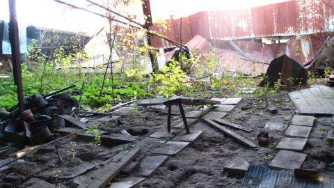 Oct. 19, 2024 - IMG_2028.JPG