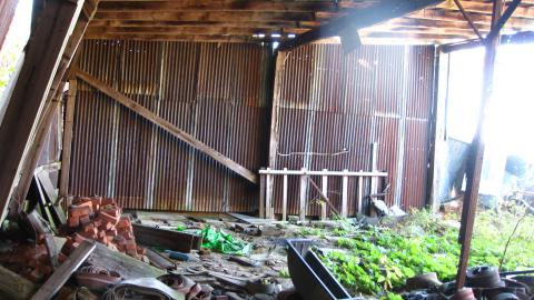 Oct. 19, 2024 - IMG_2029.JPG