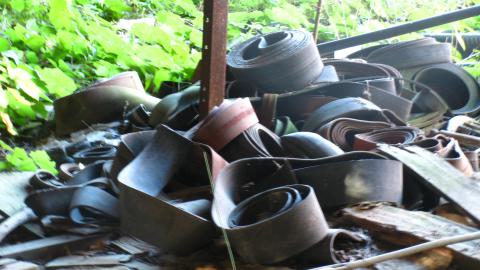 Oct. 19, 2024 - IMG_2031.JPG