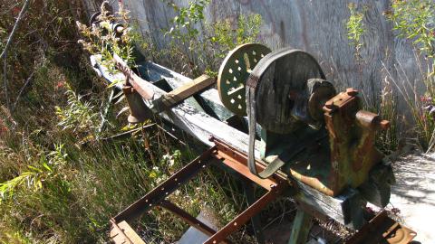 Oct. 19, 2024 - IMG_2032.JPG