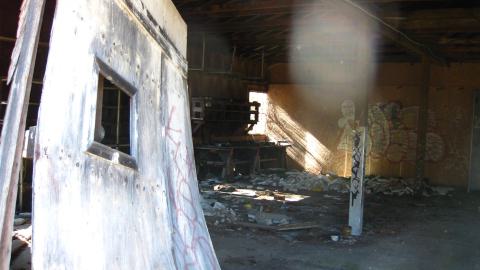 Oct. 19, 2024 - IMG_2033.JPG