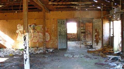 Oct. 19, 2024 - IMG_2034.JPG