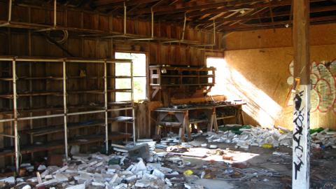 Oct. 19, 2024 - IMG_2035.JPG