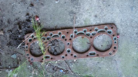 Oct. 19, 2024 - IMG_2036.JPG