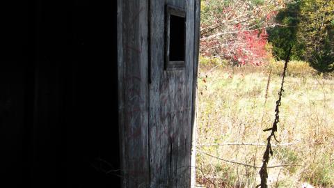 Oct. 19, 2024 - IMG_2037.JPG