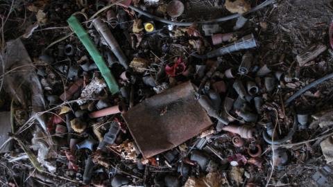 Oct. 19, 2024 - IMG_2048.JPG