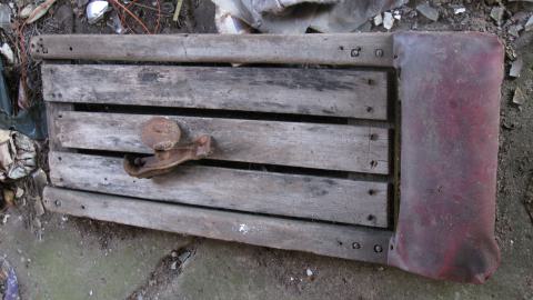 Oct. 19, 2024 - IMG_2049.JPG