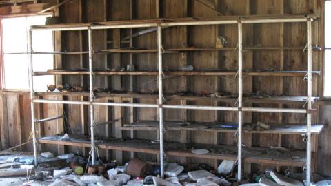 Oct. 19, 2024 - IMG_2050.JPG