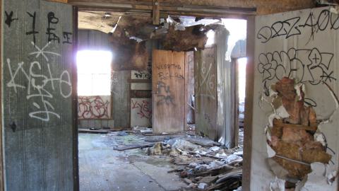 Oct. 19, 2024 - IMG_2052.JPG