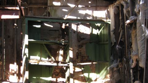 Oct. 19, 2024 - IMG_2057.JPG