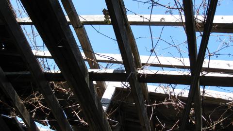 Oct. 19, 2024 - IMG_2058.JPG