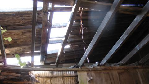 Oct. 19, 2024 - IMG_2062.JPG