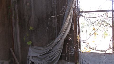 Oct. 19, 2024 - IMG_2063.JPG