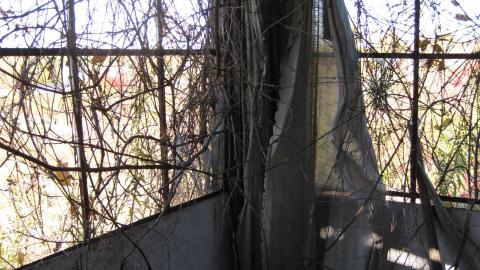 Oct. 19, 2024 - IMG_2064.JPG