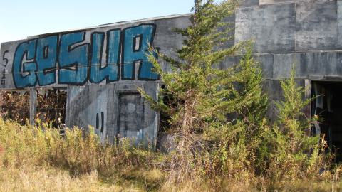 Oct. 19, 2024 - IMG_2066.JPG